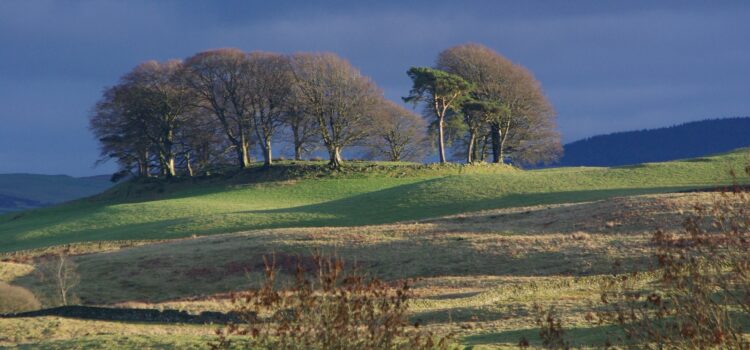 Windfarm Grants Windfarm Grants